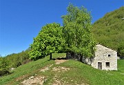 12 Esploso il verde primaverile !